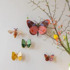 Bellissima - Butterfly