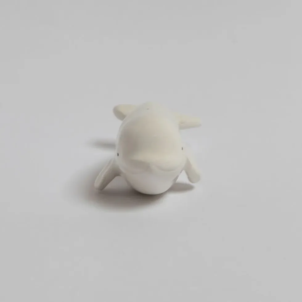 Beluga