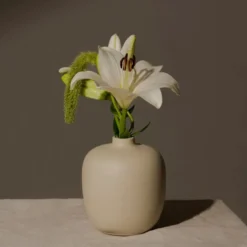 Blanc 05 Pink Vase
