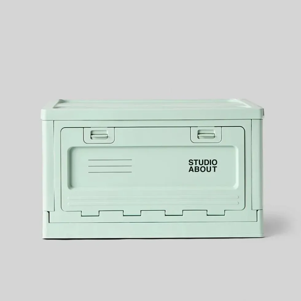 Box Large Mint