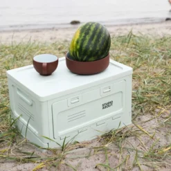 Box Large Mint