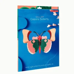 Cepora Butterfly