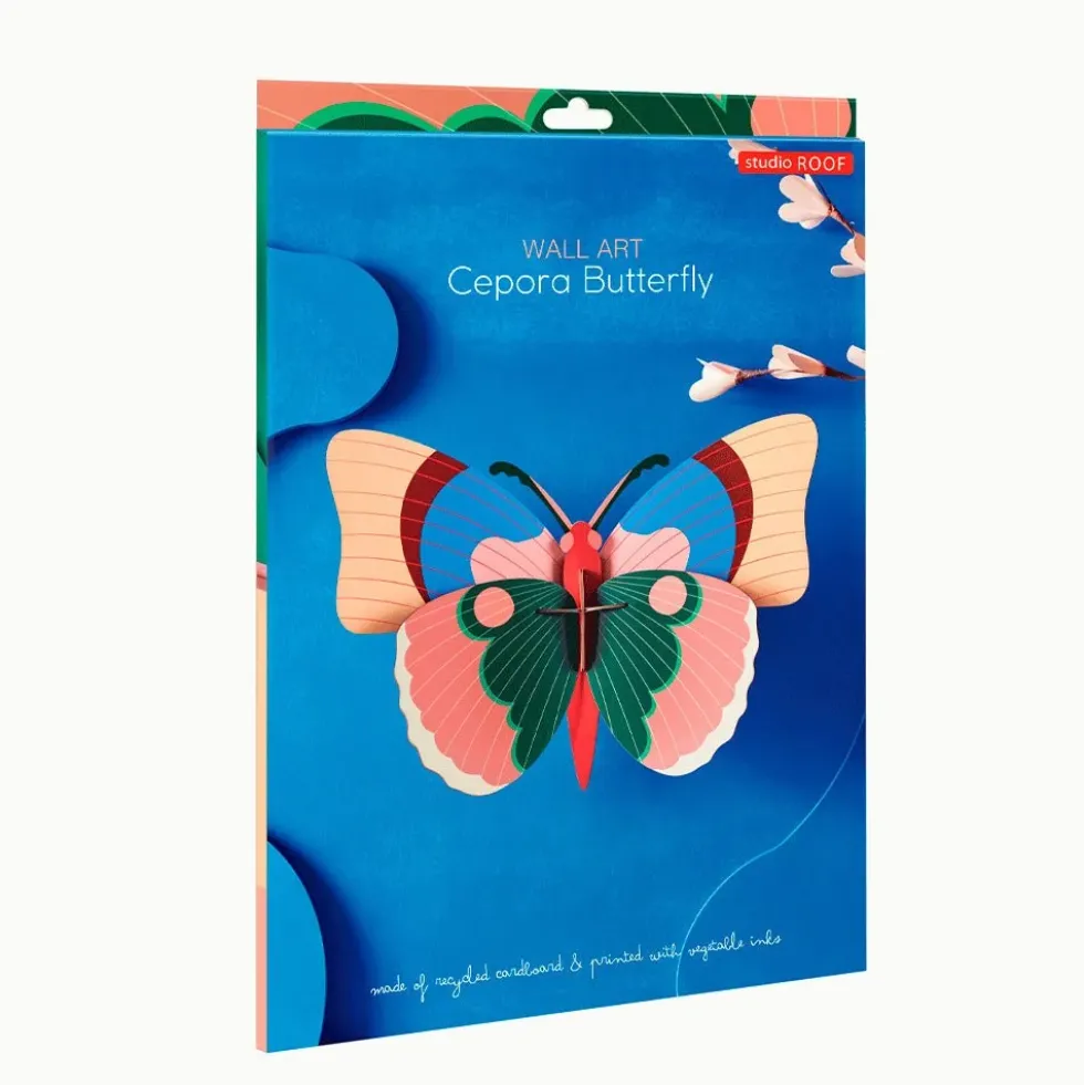 Cepora Butterfly