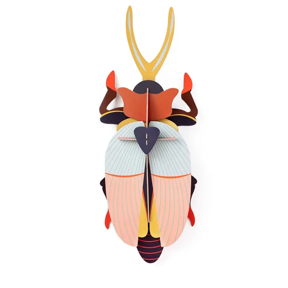Deluxe - Rhinoceros Beetle
