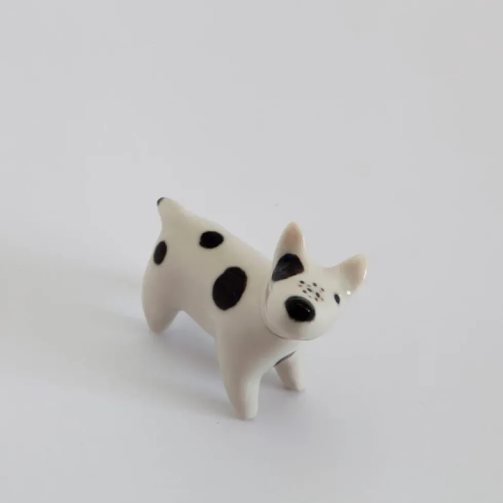 Doggy Panchito