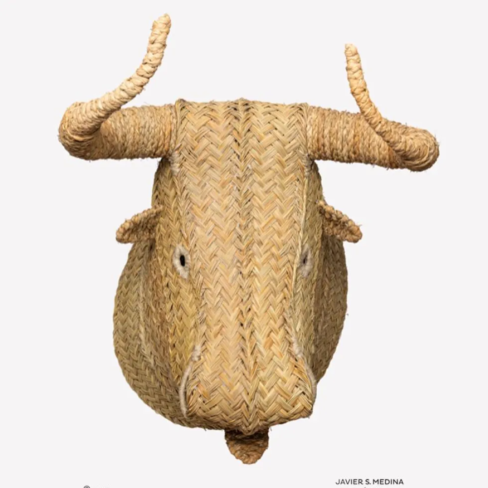 Ecological Trophy Bull Large