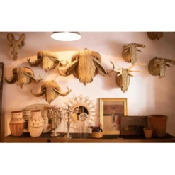 Ecological Trophy Bull Small