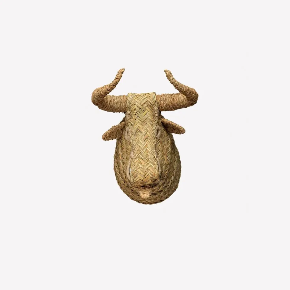 Ecological Trophy Bull Small