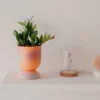 Euphoria Large Plant Pot