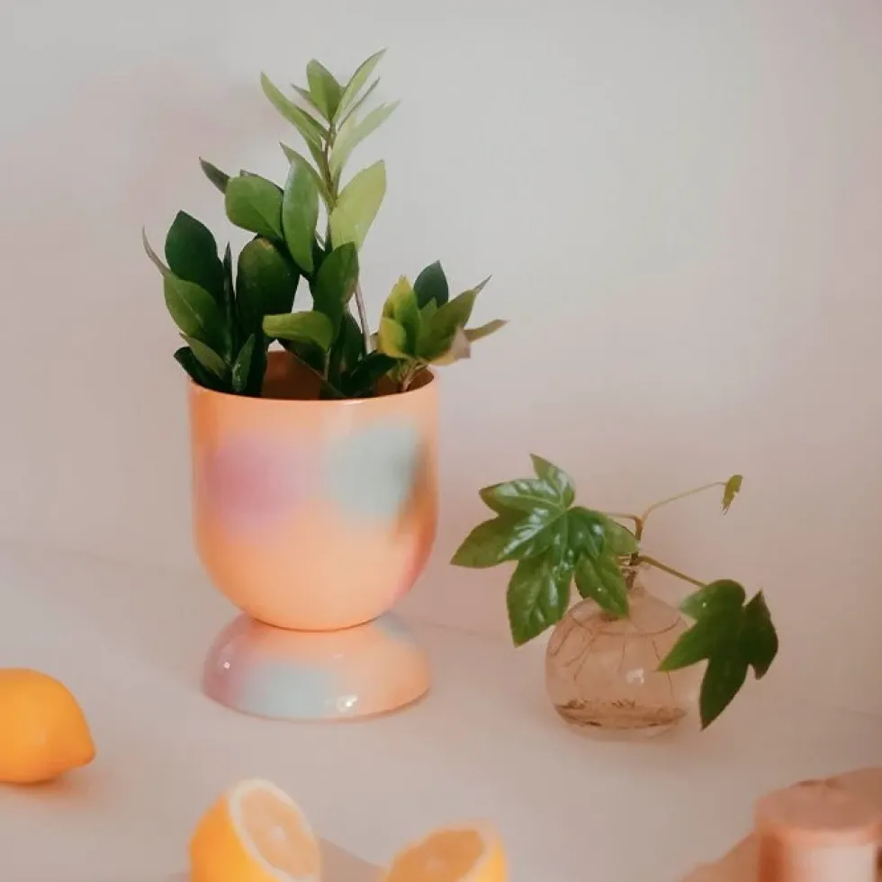 Euphoria Large Plant Pot