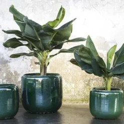 Flower Pot Costa L Green