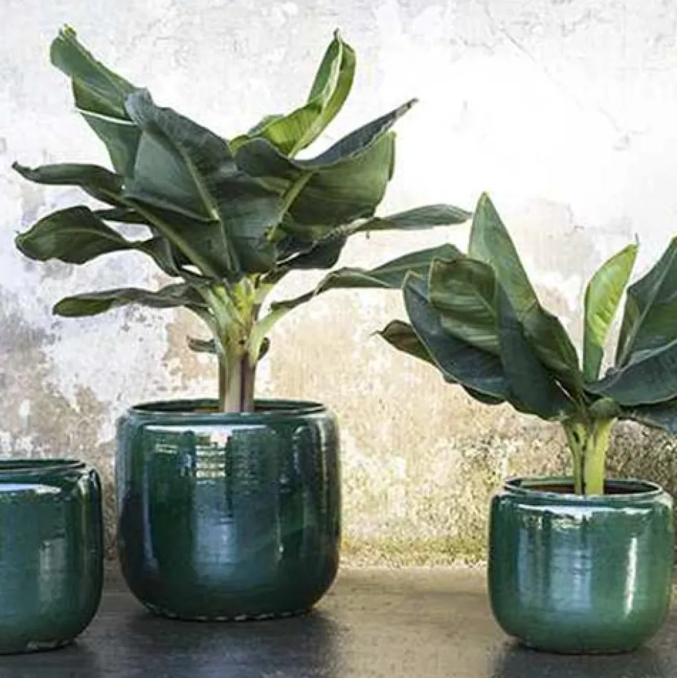 Flower Pot Costa M Green