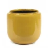 Flower Pot Costa M Honey