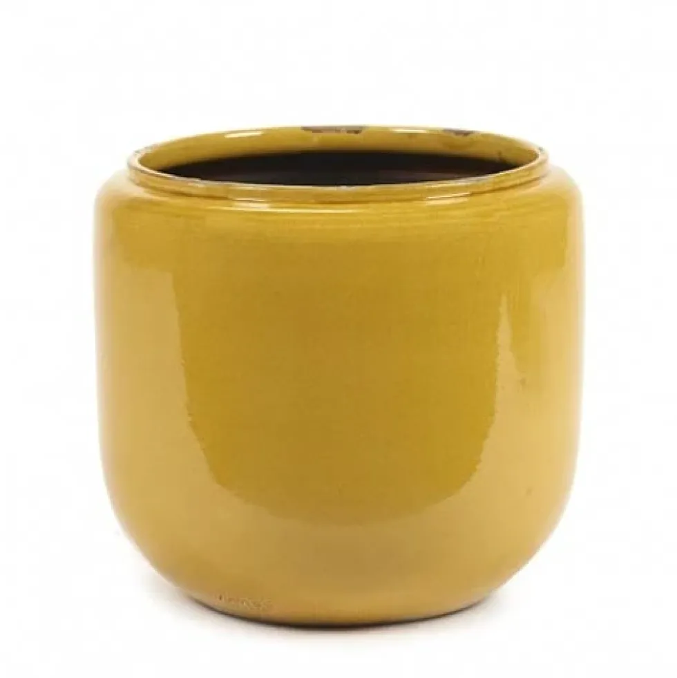 Flower Pot Costa M Honey