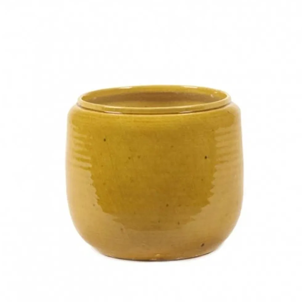 Flower Pot Costa S Honey