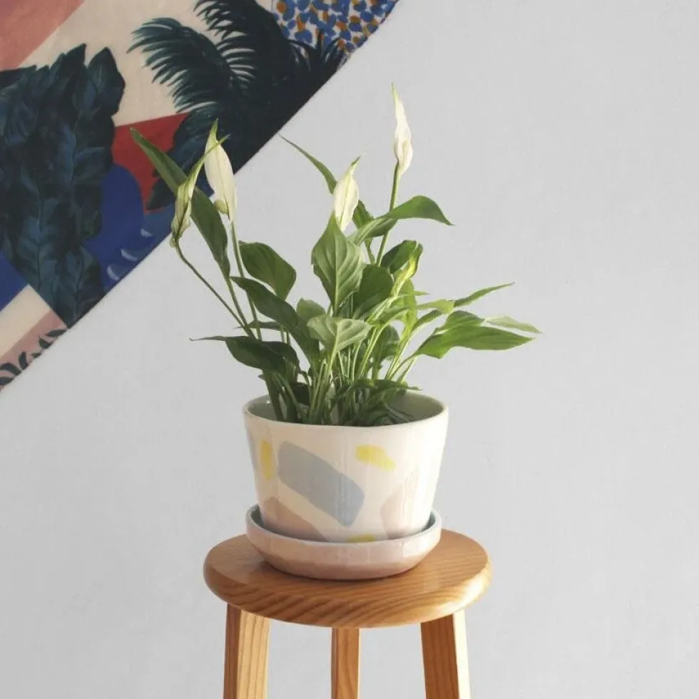 Flowerpot Splash