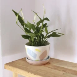 Flowerpot Splash