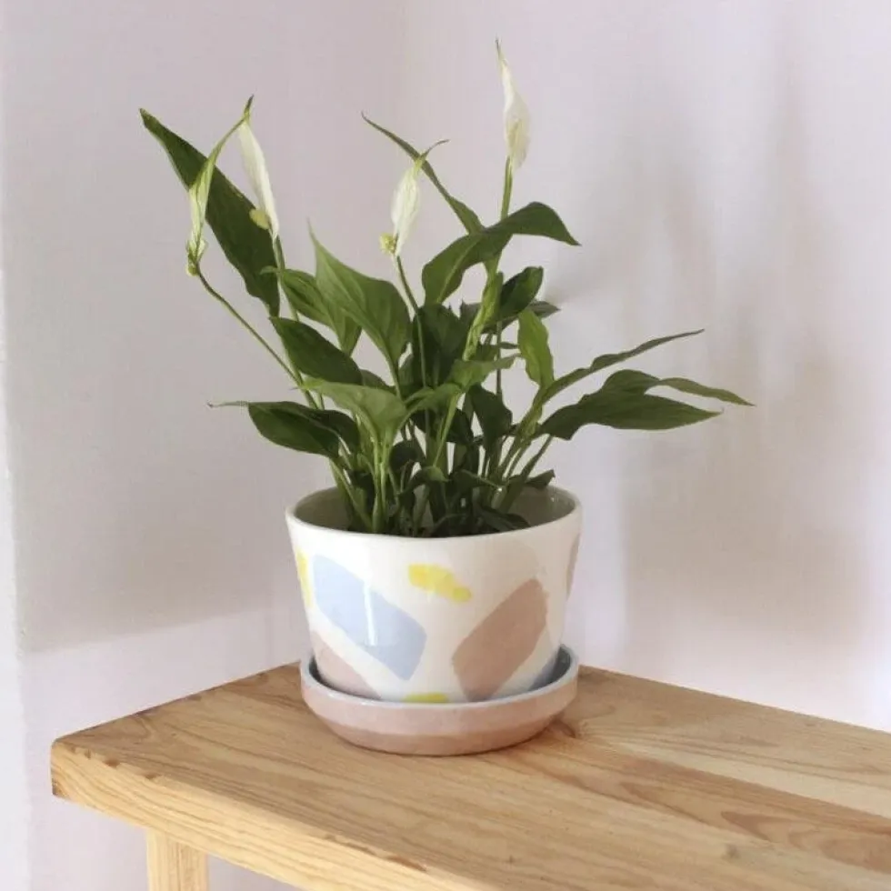 Flowerpot Splash