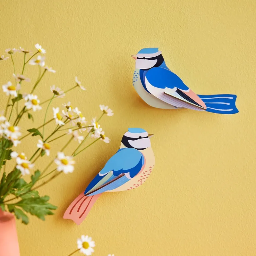 Garden Bird Blue Tits