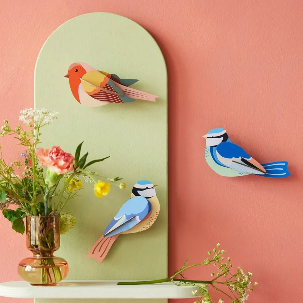 Garden Bird Blue Tits