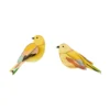 Garden Bird - Citrinella Pair