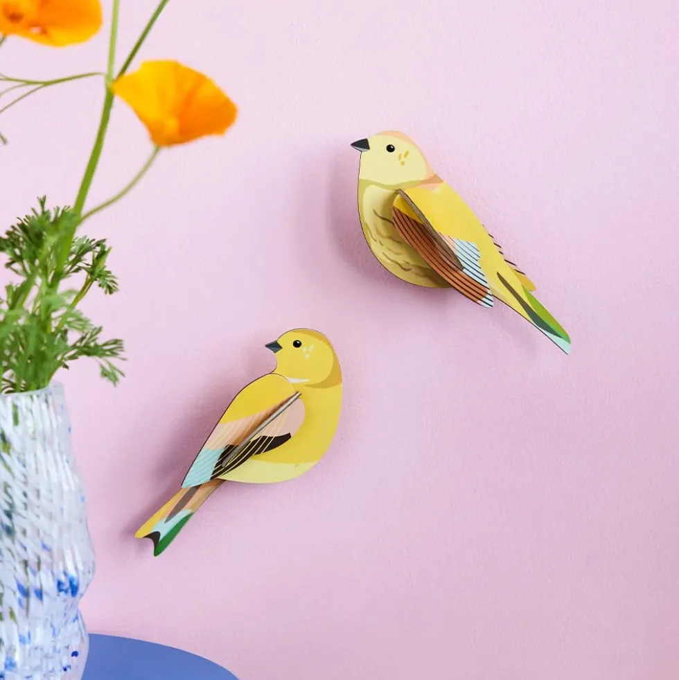 Garden Bird - Citrinella Pair