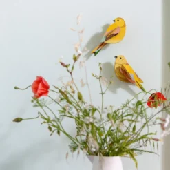 Garden Bird - Citrinella Pair