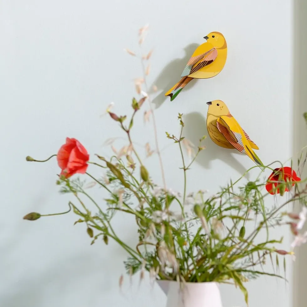 Garden Bird - Citrinella Pair