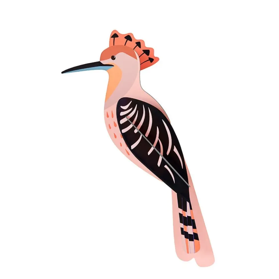 Garden Bird Hoopoe