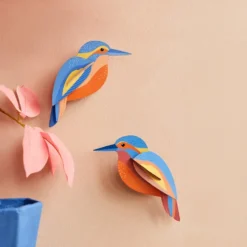 Garden Bird Kingfishers