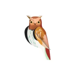 Garden Bird - Tawny Owl