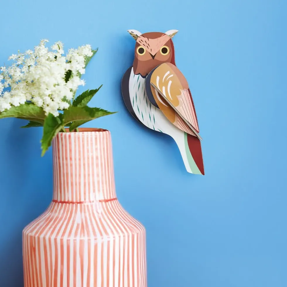 Garden Bird - Tawny Owl