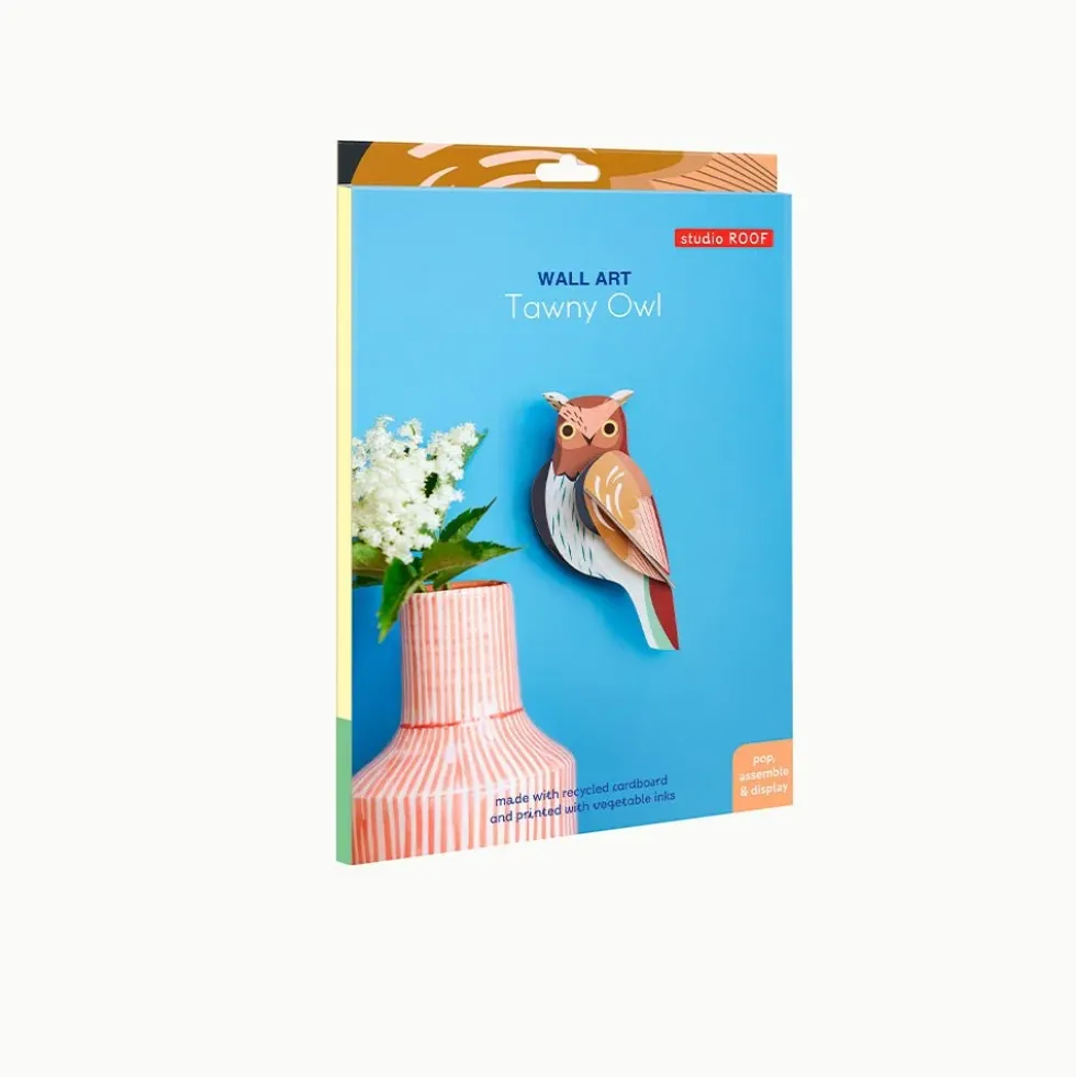 Garden Bird - Tawny Owl