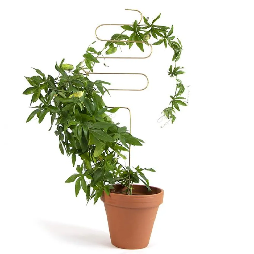 Golden Plant Stake Squiggle