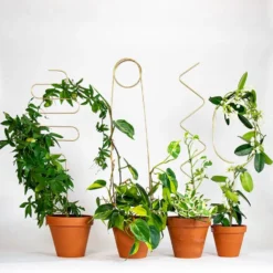 Golden Plant Stake Squiggle