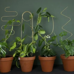 Golden Plant Stake Squiggle