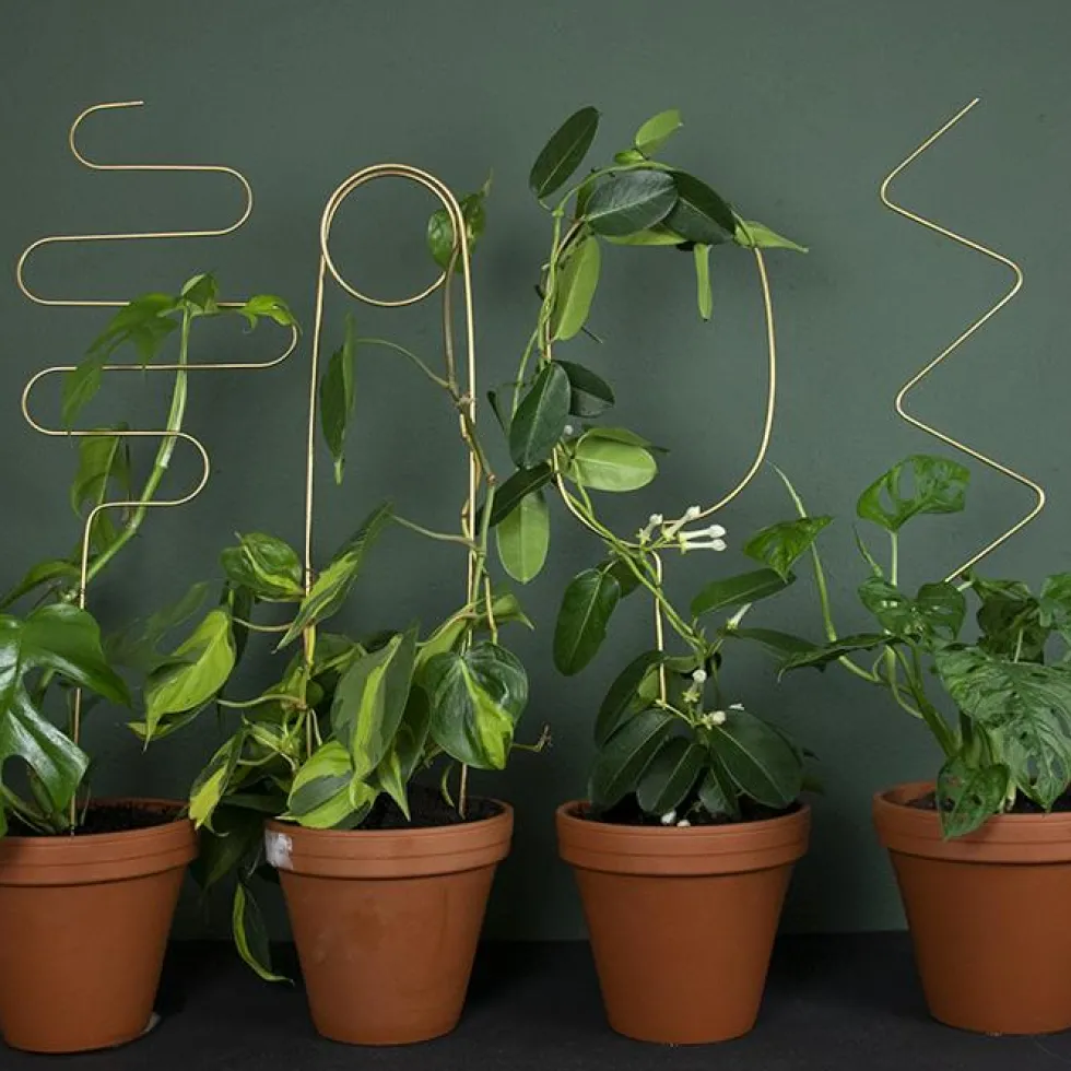 Golden Plant Stake Squiggle