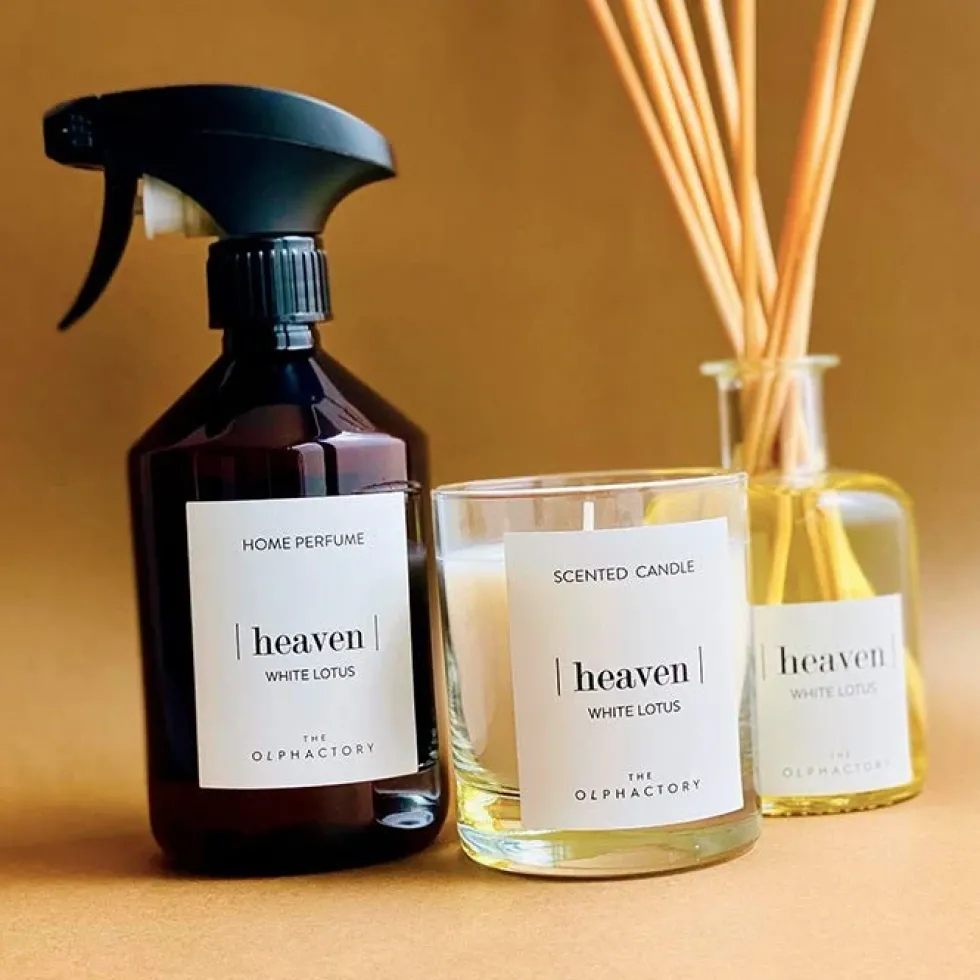 Home Spray 500 ml Cosy Santal