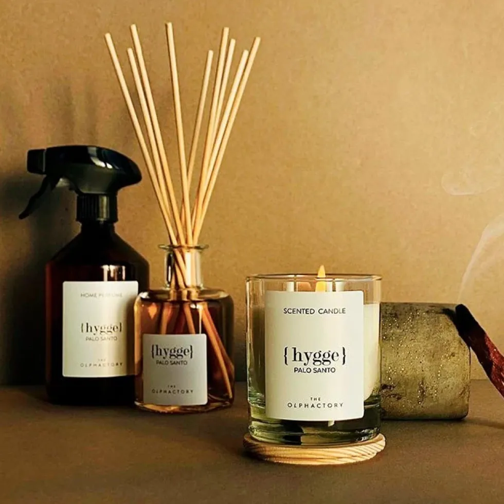 Home Spray 500 ml Cosy Santal