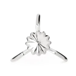 Juicy Salif