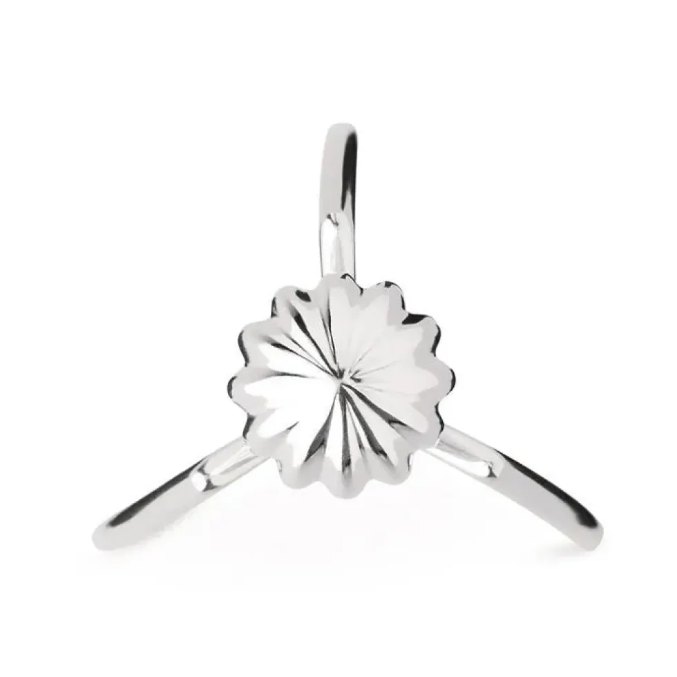 Juicy Salif