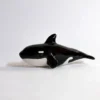Killer Whale