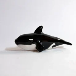 Killer Whale