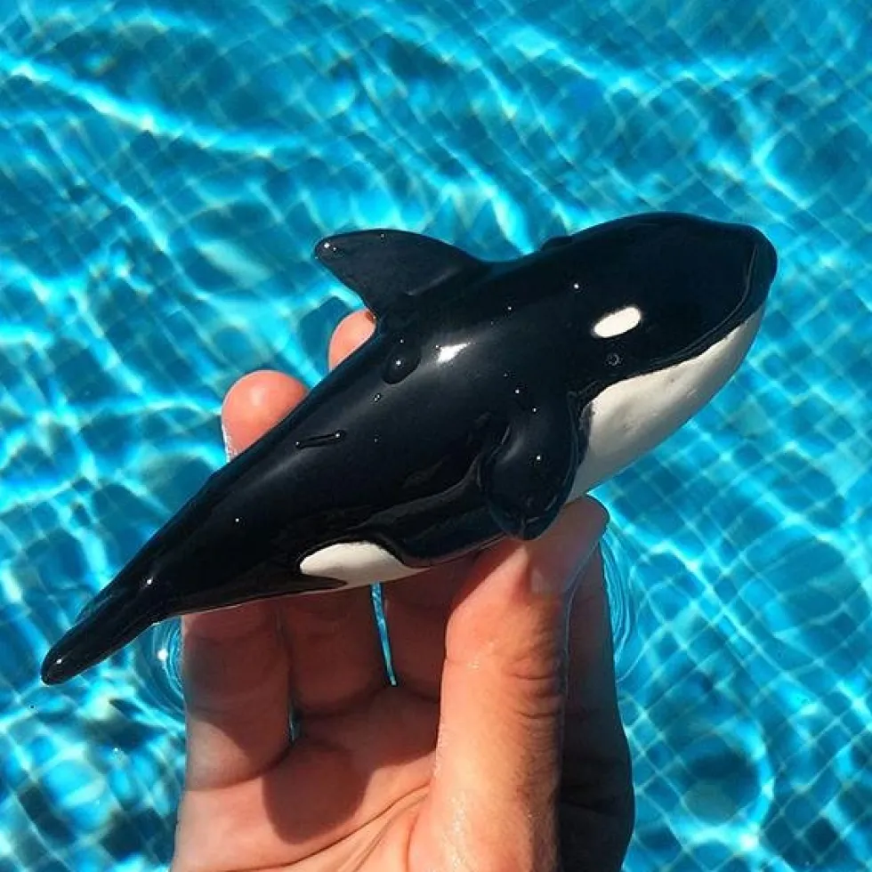 Killer Whale