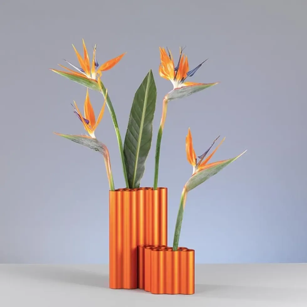 Nauge Large Burnt Orange
