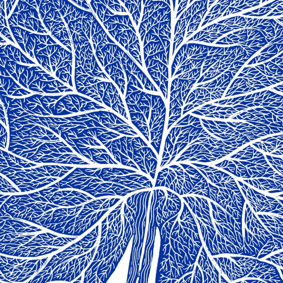 Papel de Agua 02 Giclée Print