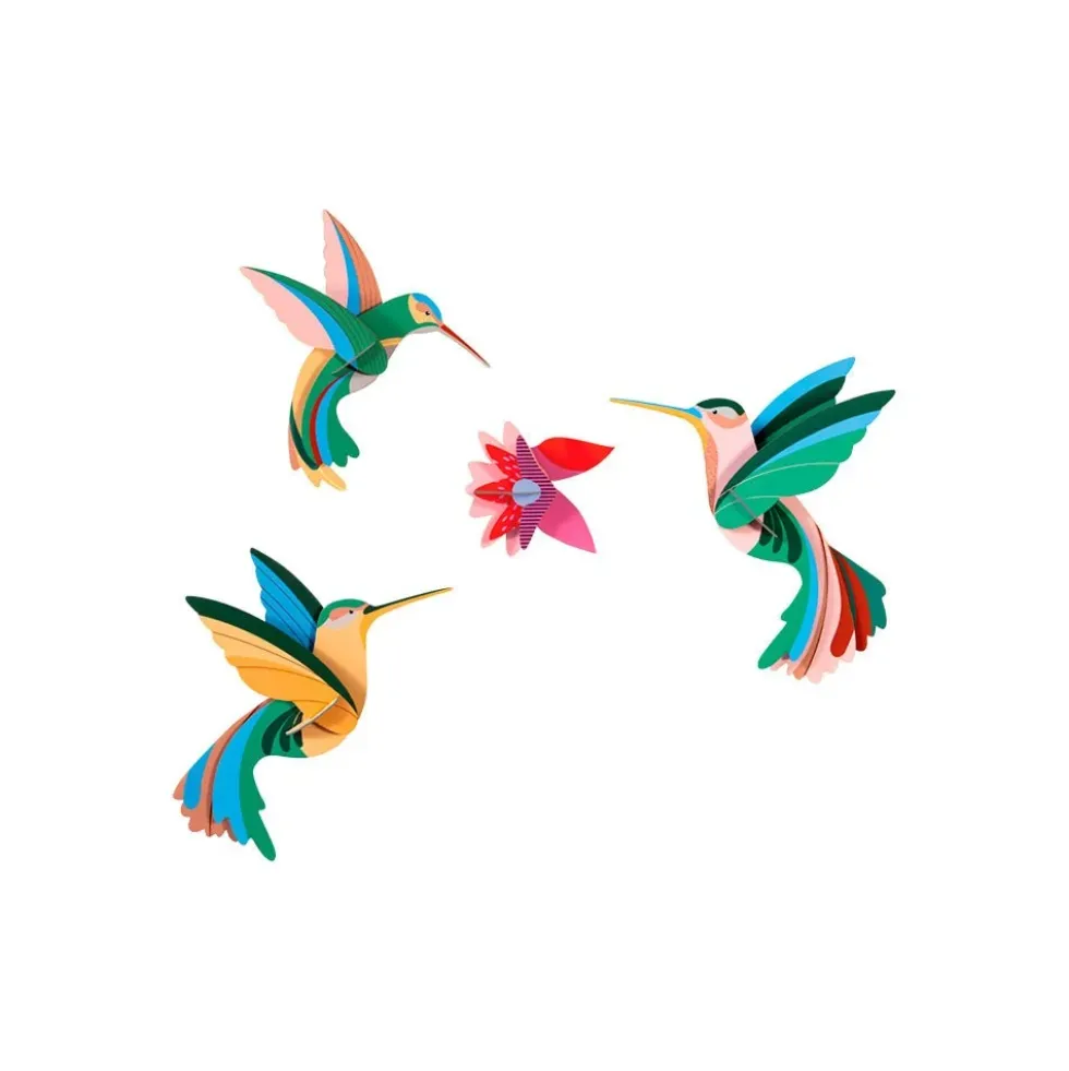 Paradise Bird - Dance of Hummingbirds