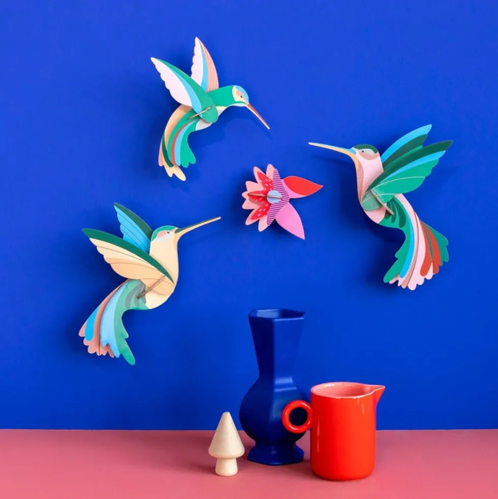 Paradise Bird - Dance of Hummingbirds