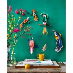 Paradise Bird Gili