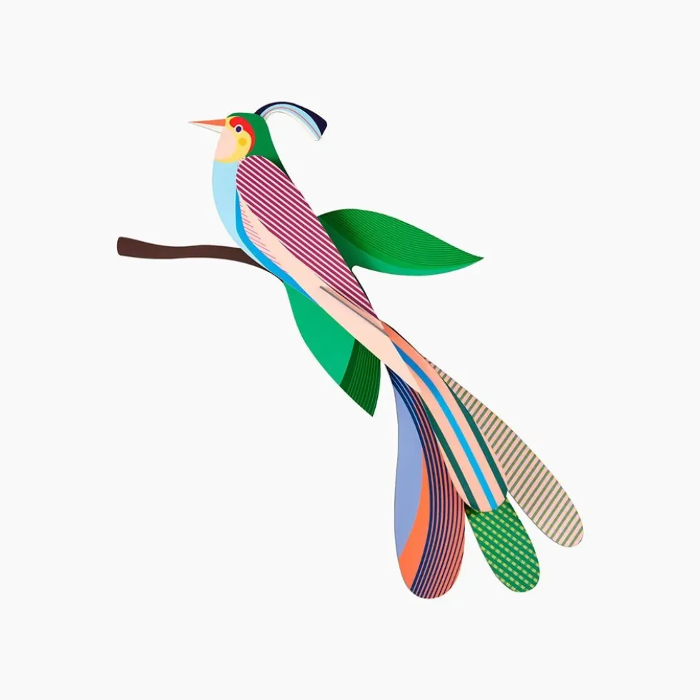 Paradise Bird Maya